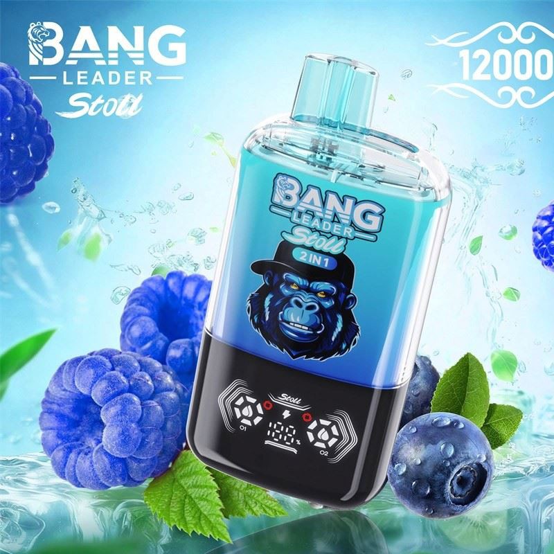 bang leader 120000 puffs